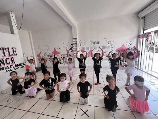 Academia baile Academia De Ballet Little Dance