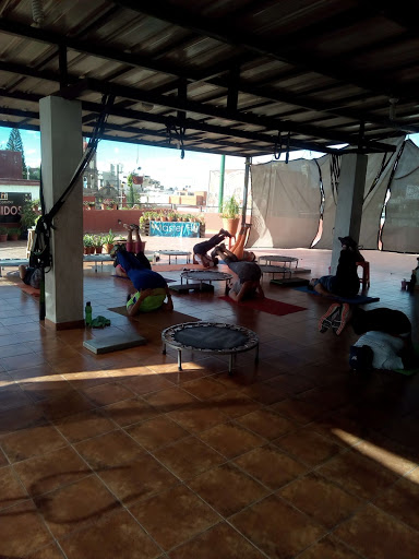 Academia baile Academia Máster Fit