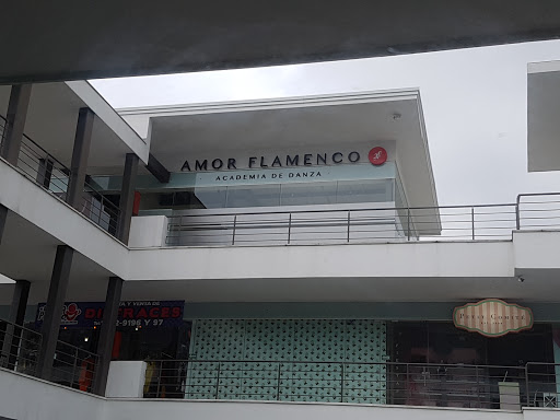 Academia baile Amor Flamenco