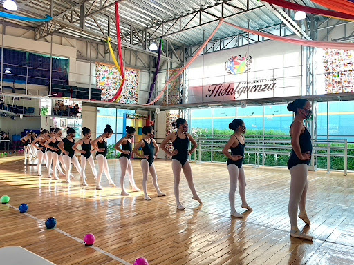 Academia baile Compañía Y Studio Danza Hidalguenza