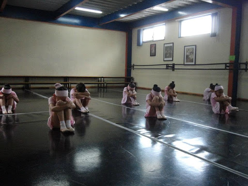 Academia baile Danzllet, Escuela De Danza