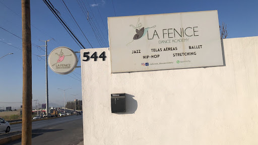 La Fenice Dance Academy 1